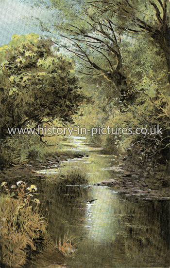 Springtime on the Ching, Epping Forest, Essex. c.1910